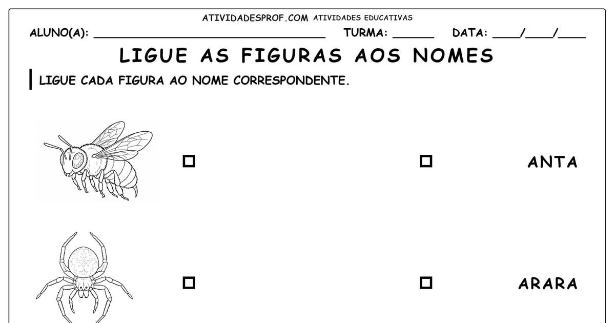 Ligue as figuras aos nomes