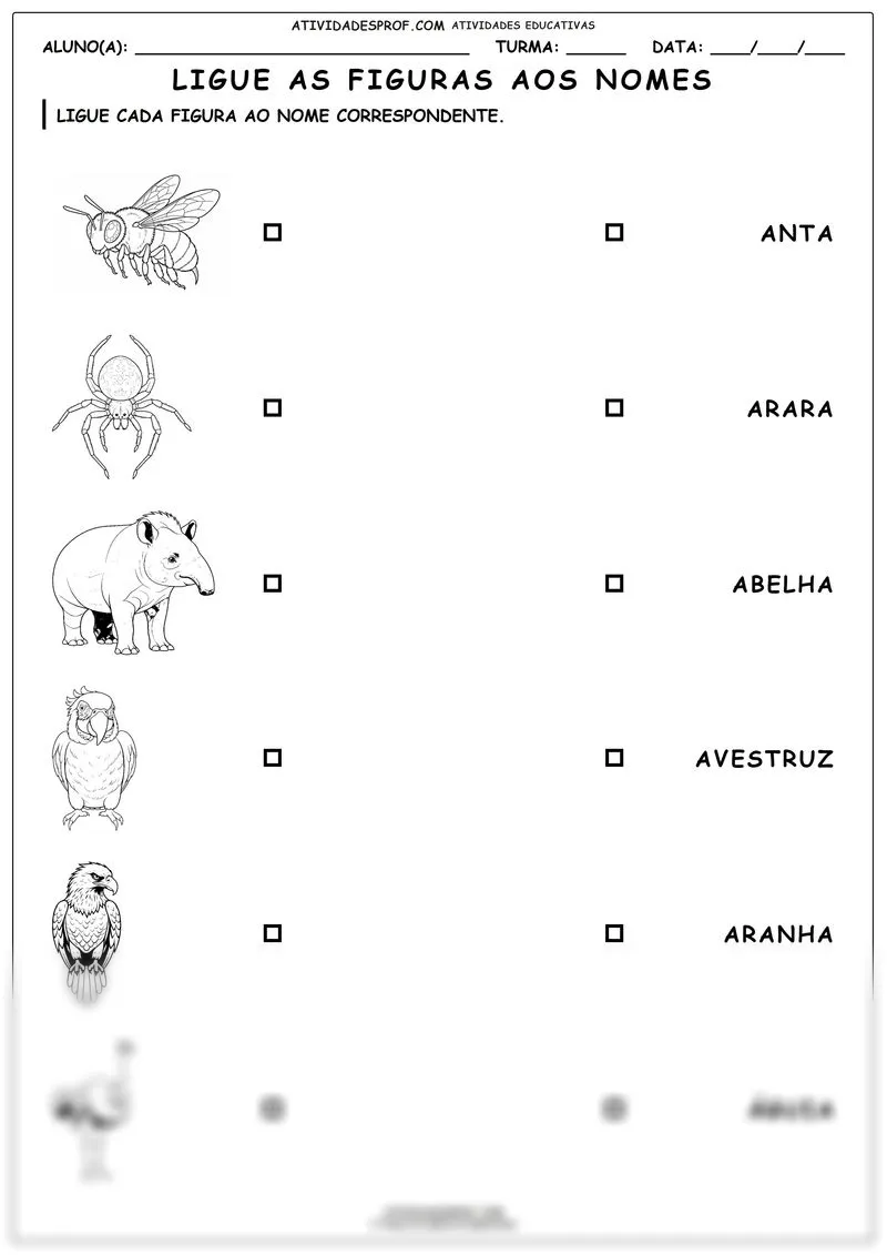Ligue as figuras aos nomes