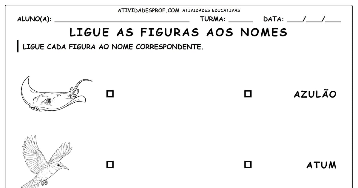 Ligue as figuras aos nomes