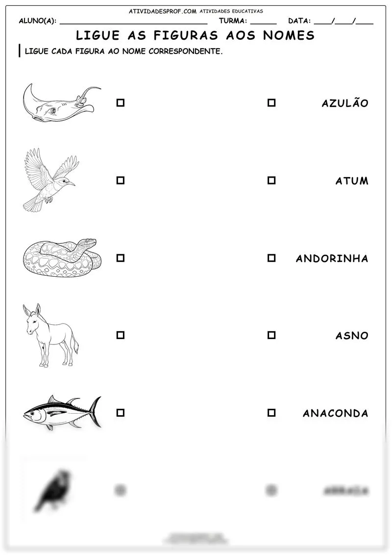 Ligue as figuras aos nomes