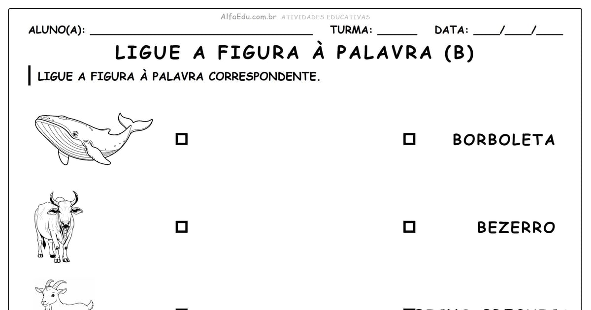 Ligue a figura à palavra (B)