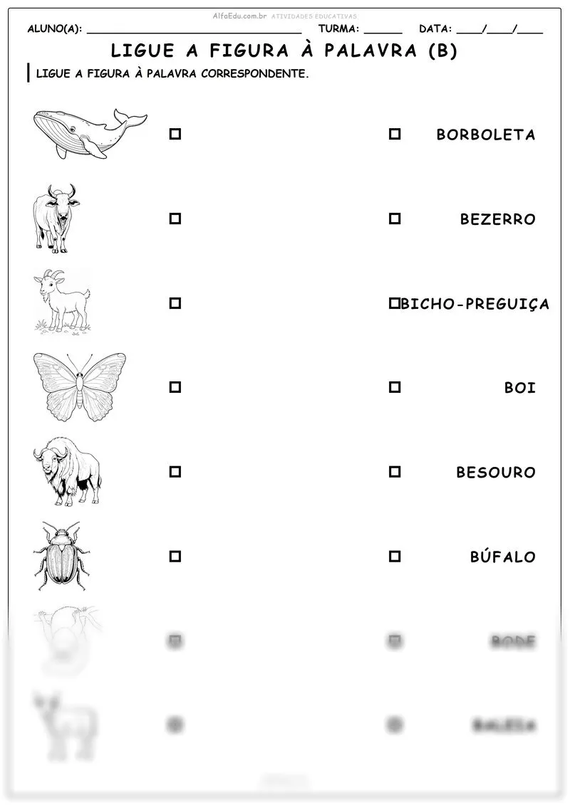 Ligue a figura à palavra (B)
