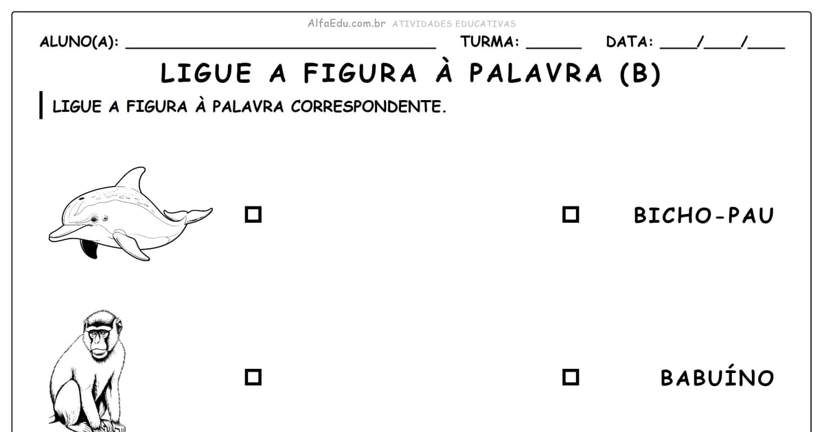 Ligue a figura à palavra (B)