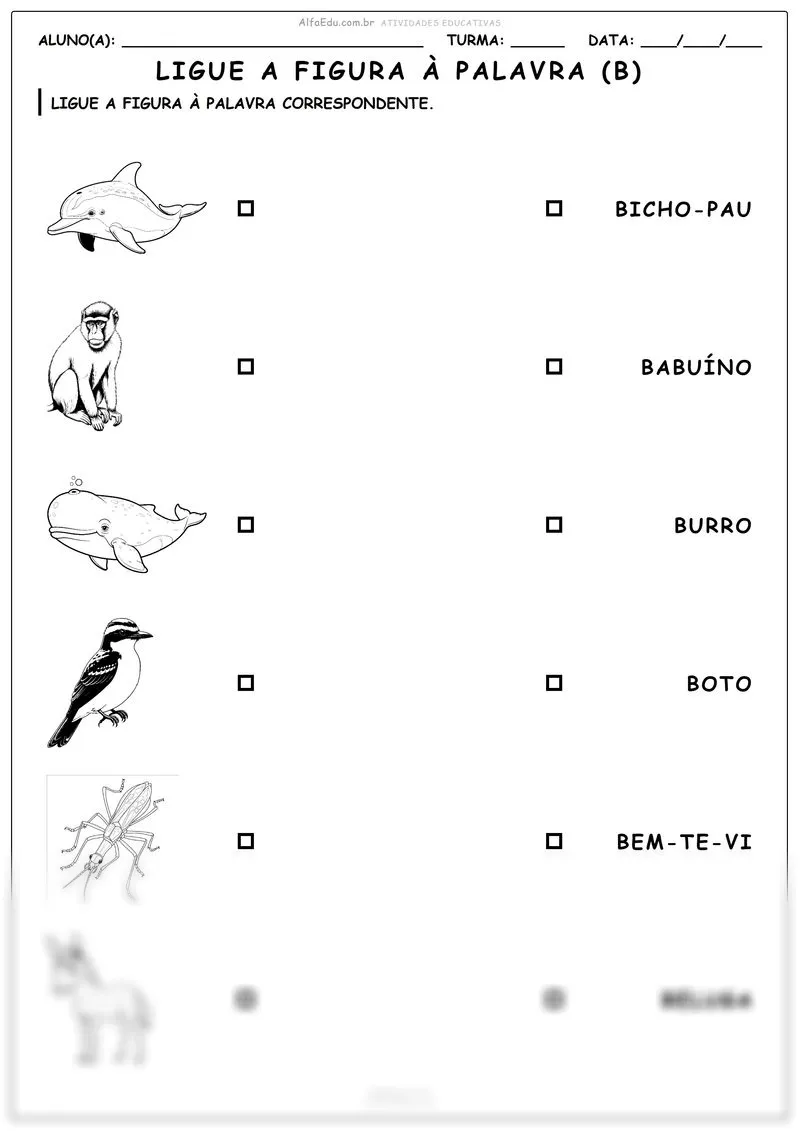 Ligue a figura à palavra (B)