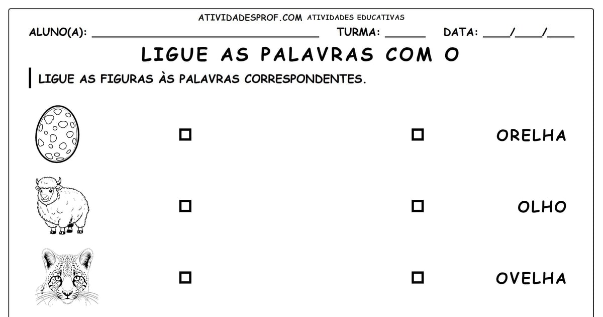 Ligue as palavras com o