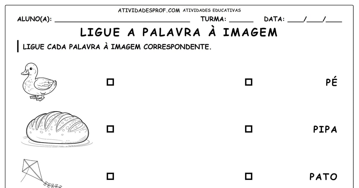 Ligue a palavra à imagem