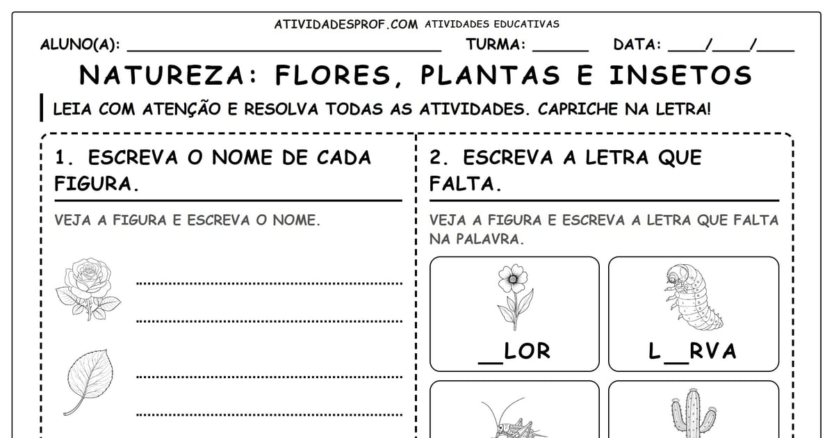 Natureza: flores, plantas e insetos