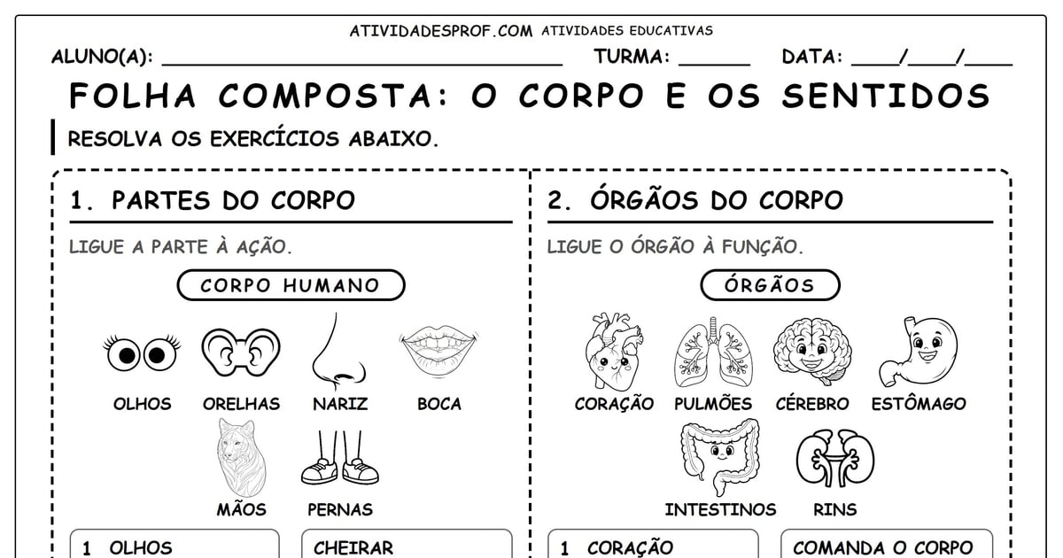 FOLHA COMPOSTA: O CORPO E OS SENTIDOS