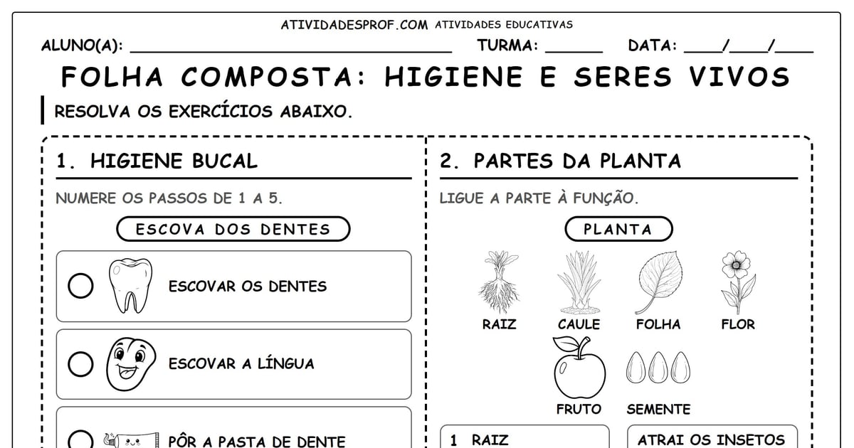FOLHA COMPOSTA: HIGIENE E SERES VIVOS