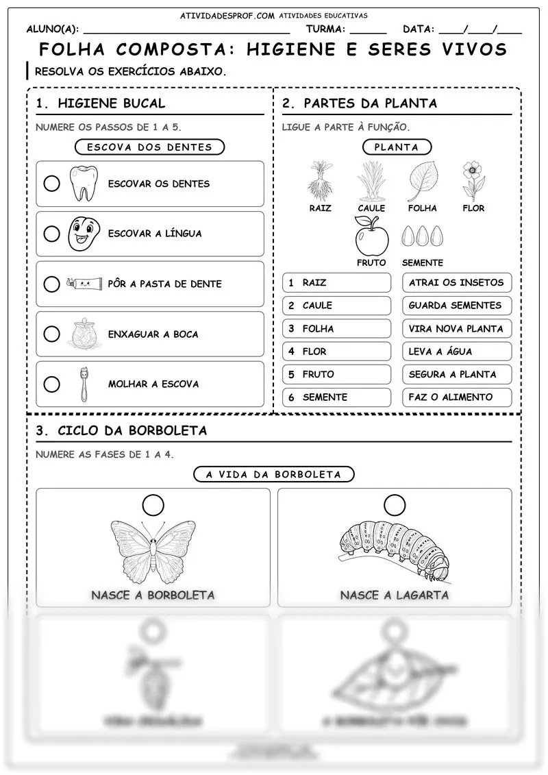 FOLHA COMPOSTA: HIGIENE E SERES VIVOS