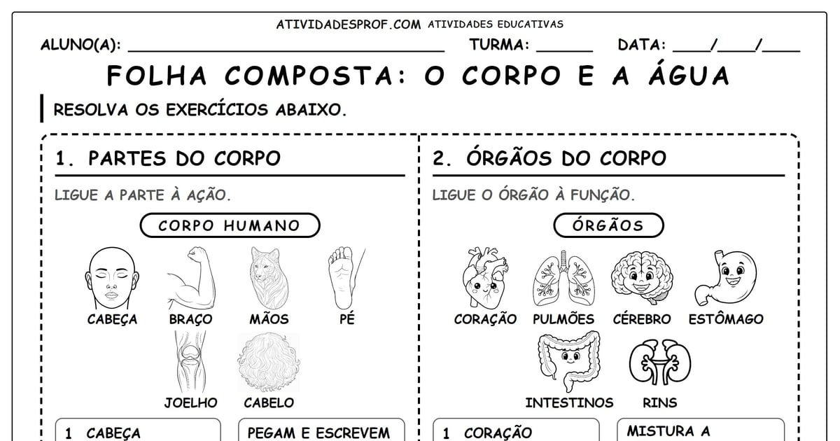FOLHA COMPOSTA: O CORPO E A ÁGUA