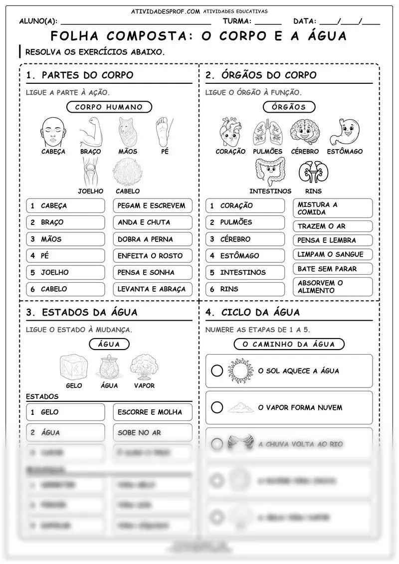 FOLHA COMPOSTA: O CORPO E A ÁGUA