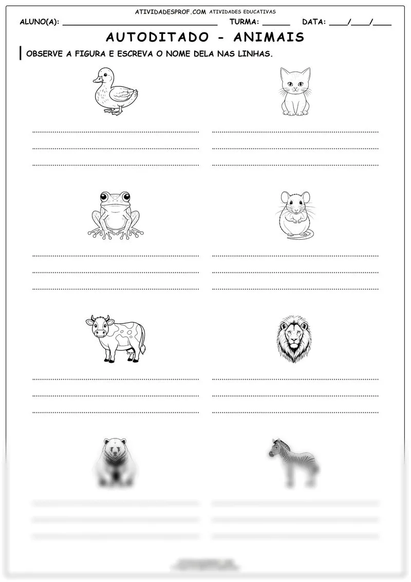 Autoditado - animais