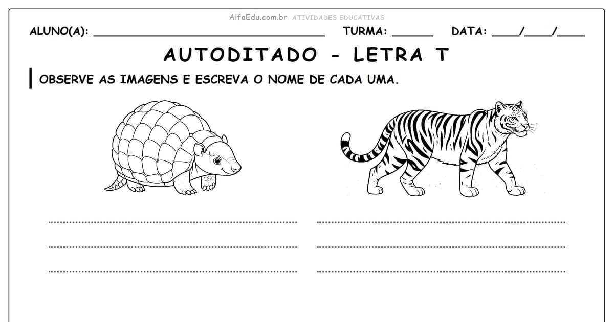 Autoditado - letra T