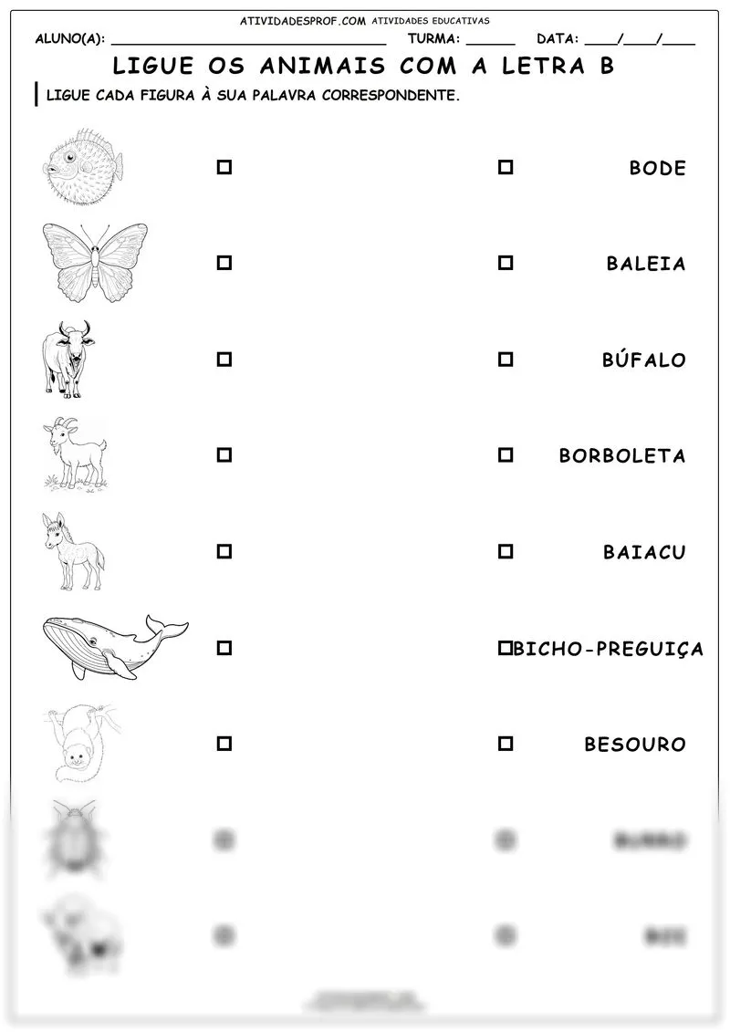 Ligue os animais com a letra B