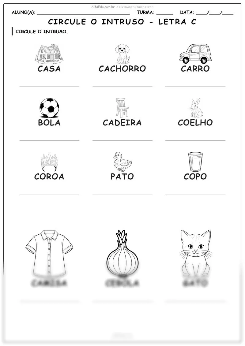 Circule o intruso - letra C