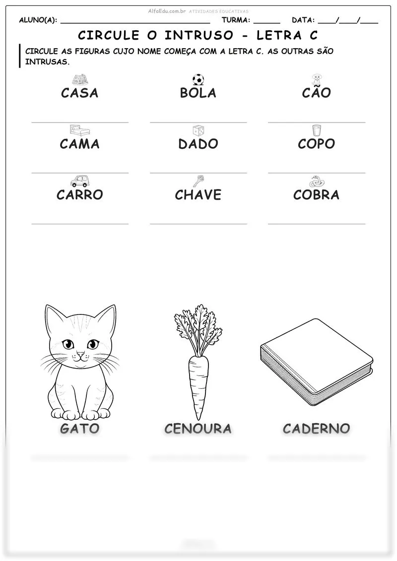 Circule o intruso - letra C