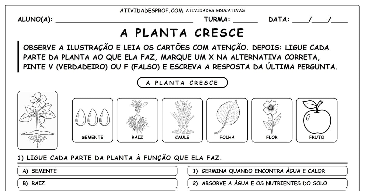 A Planta Cresce
