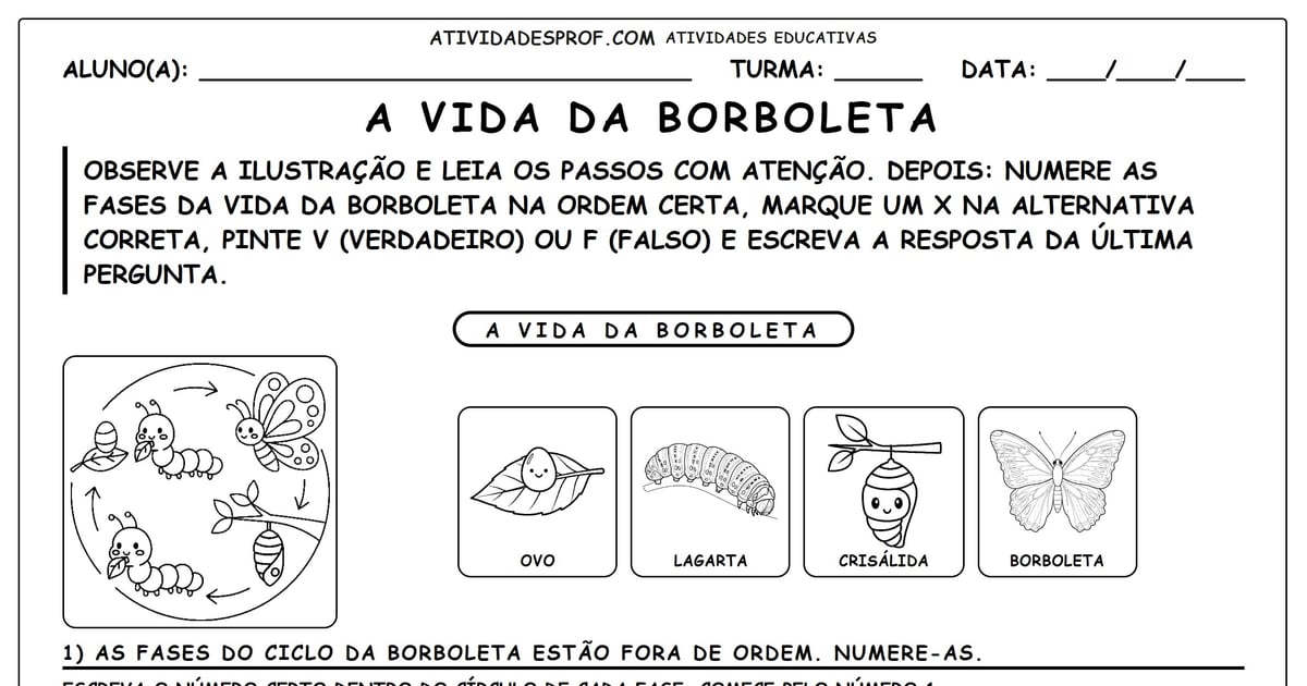 A Vida da Borboleta