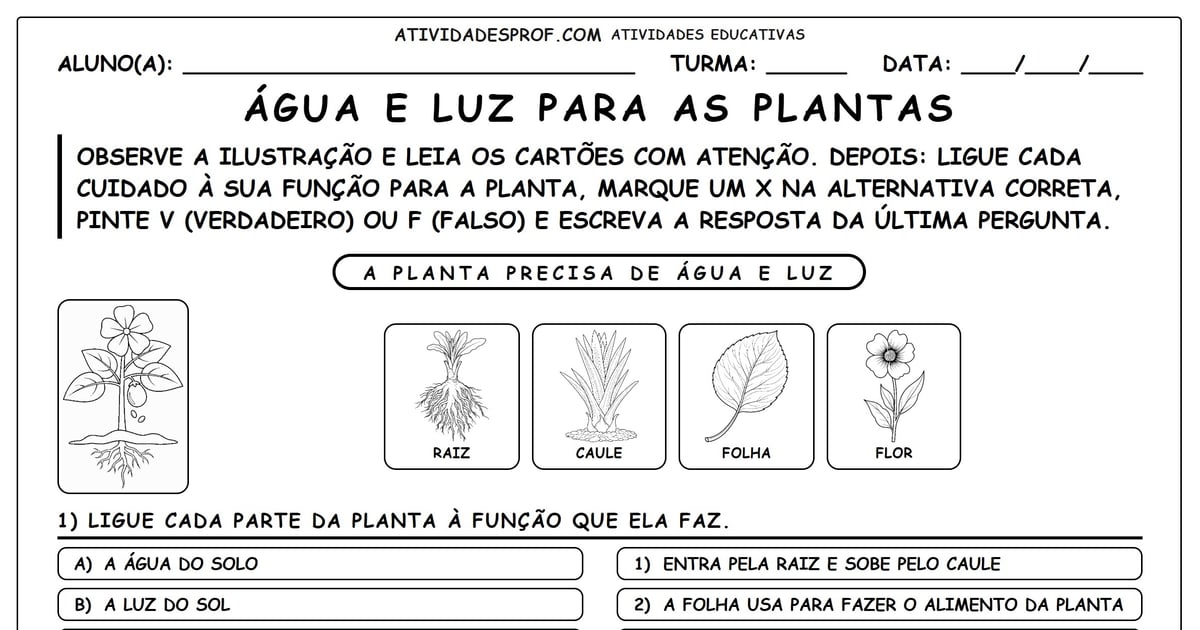 Água e Luz para as Plantas