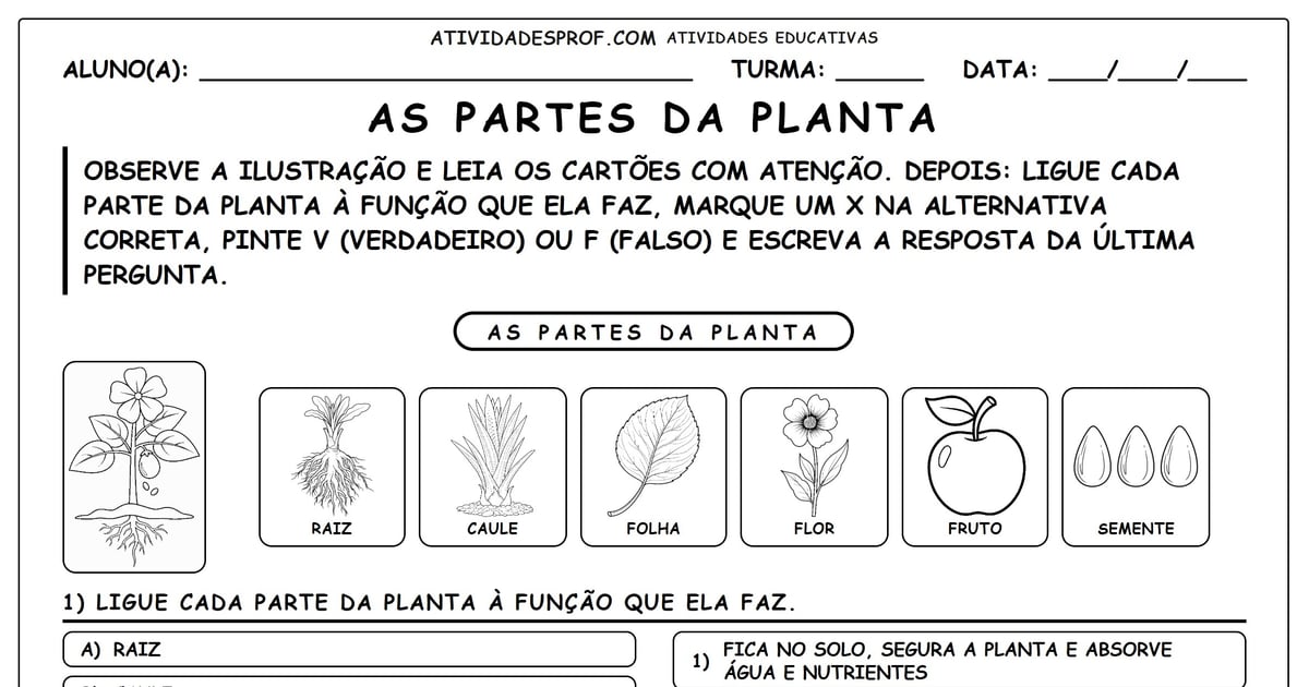 As Partes da Planta