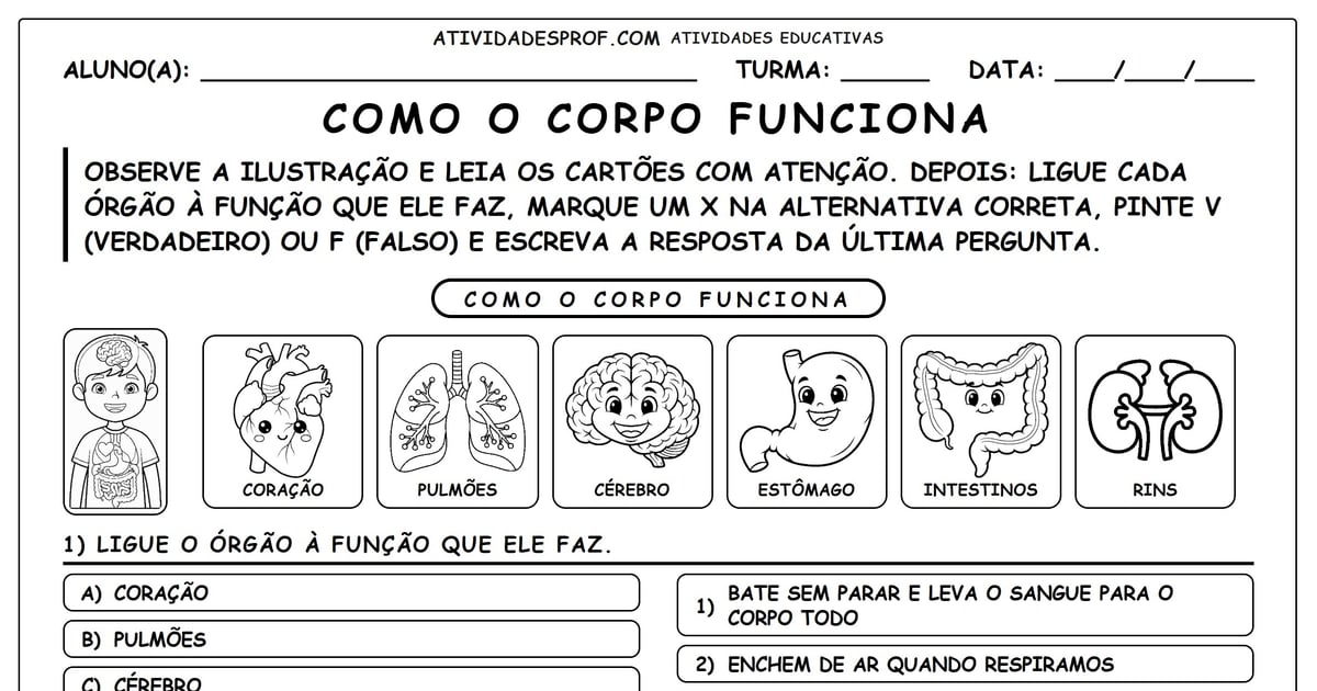 Como o Corpo Funciona