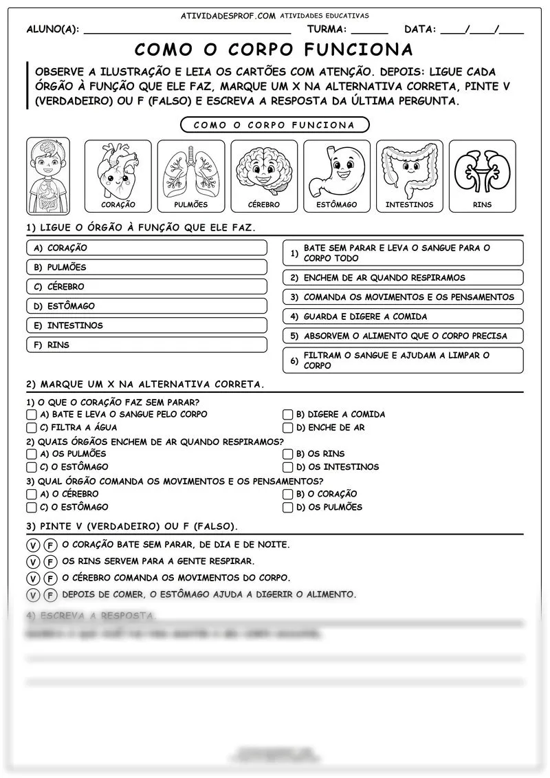 Como o Corpo Funciona