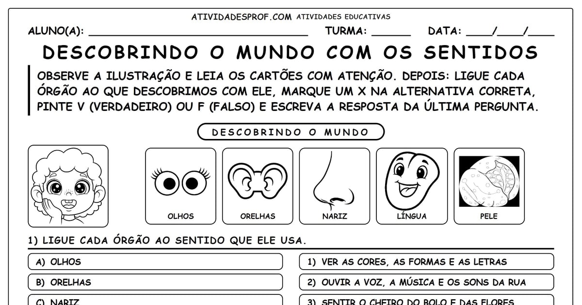 Descobrindo o Mundo com os Sentidos