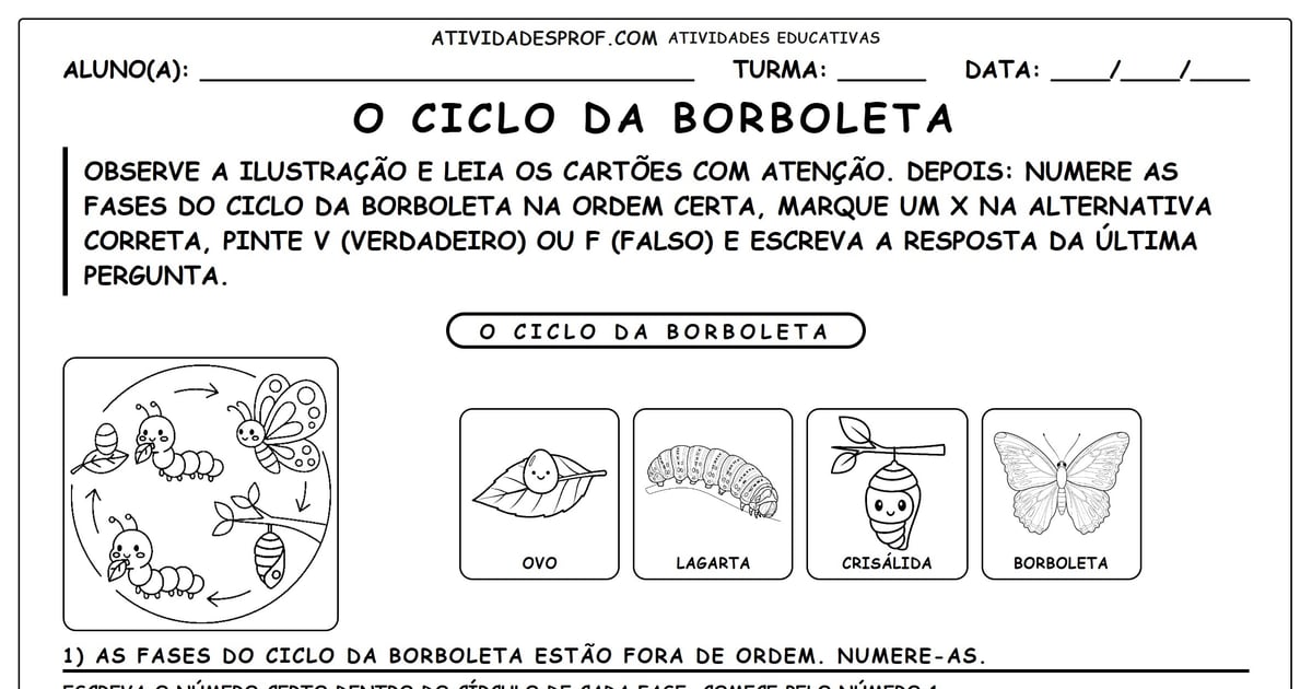 O Ciclo da Borboleta