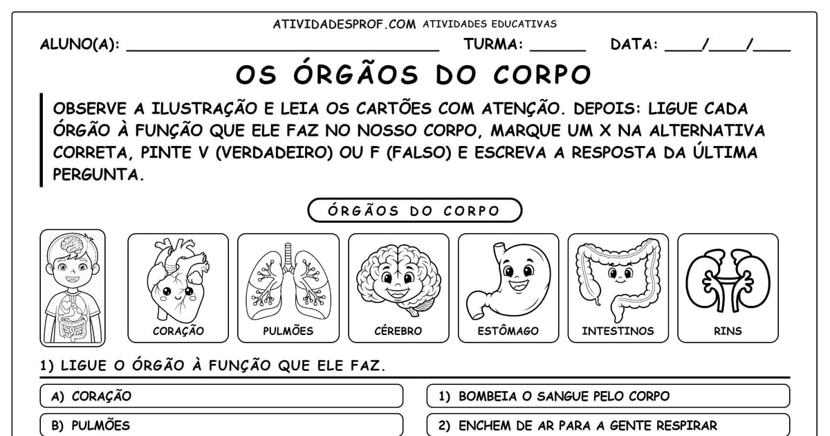 Os Órgãos do Corpo