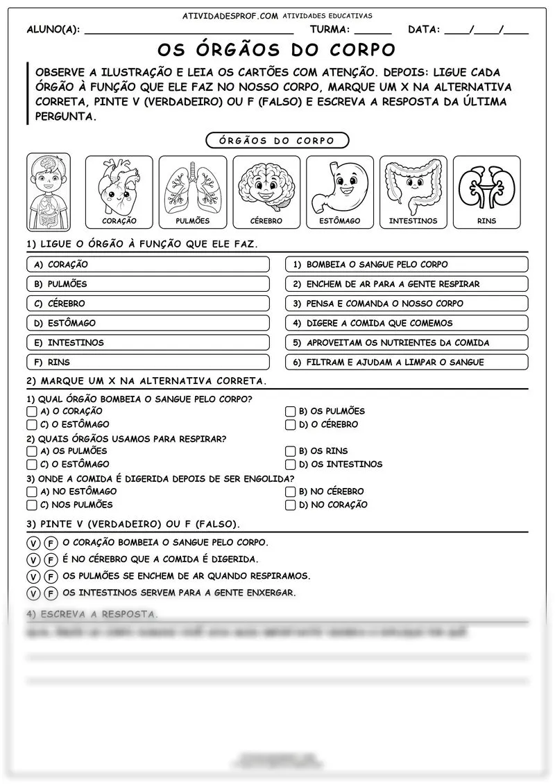 Os Órgãos do Corpo