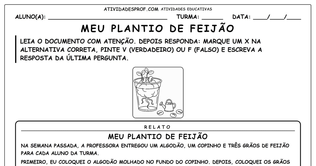 Meu Plantio de Feijão