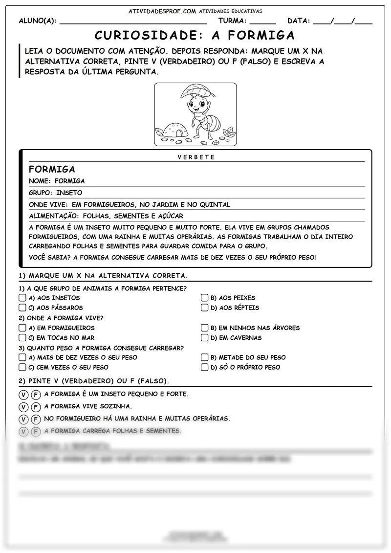 Curiosidade: A Formiga