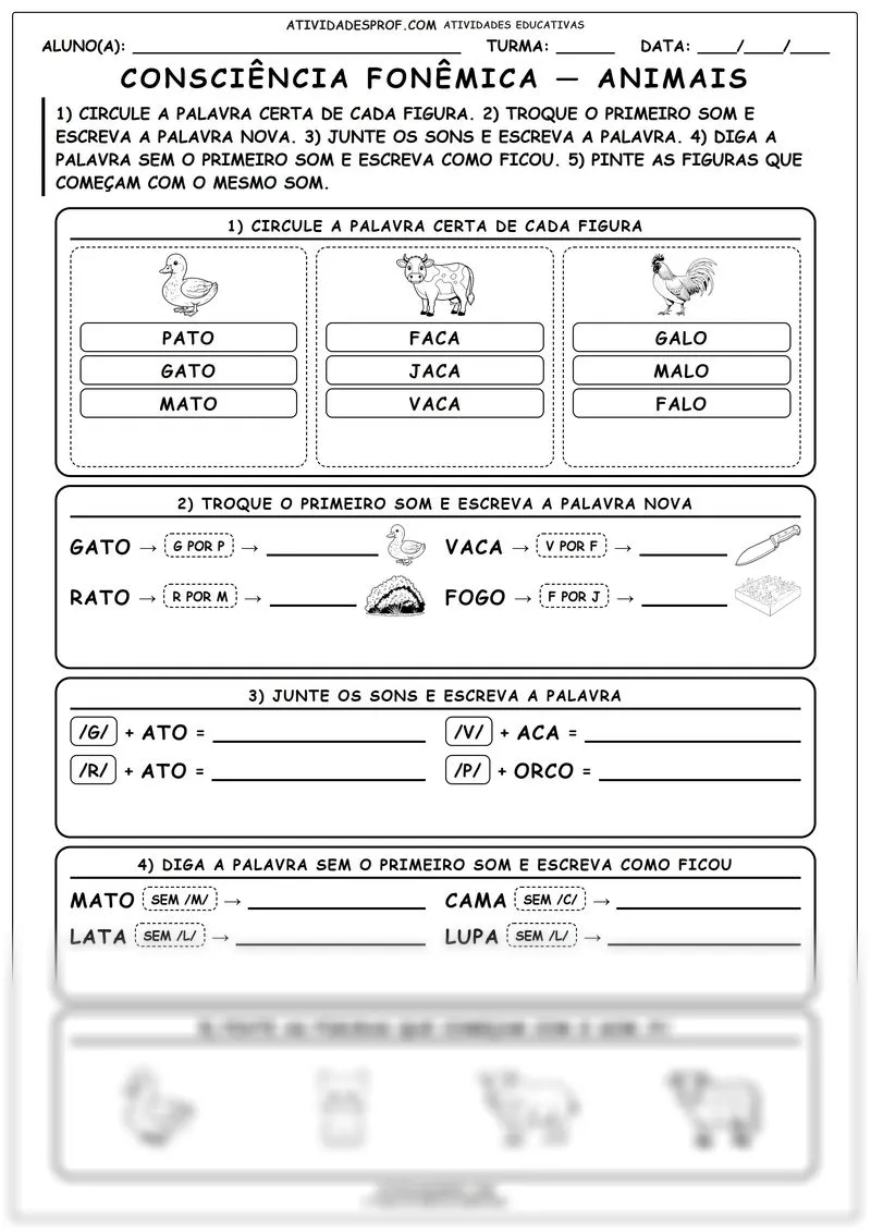 Consciência fonêmica — animais