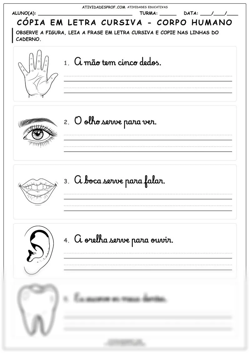 Cópia em letra cursiva - corpo humano