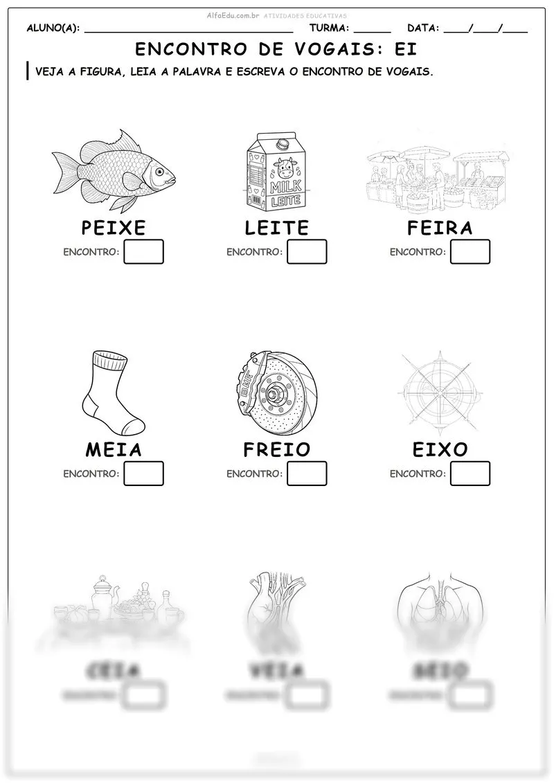 Encontro de vogais: Ei