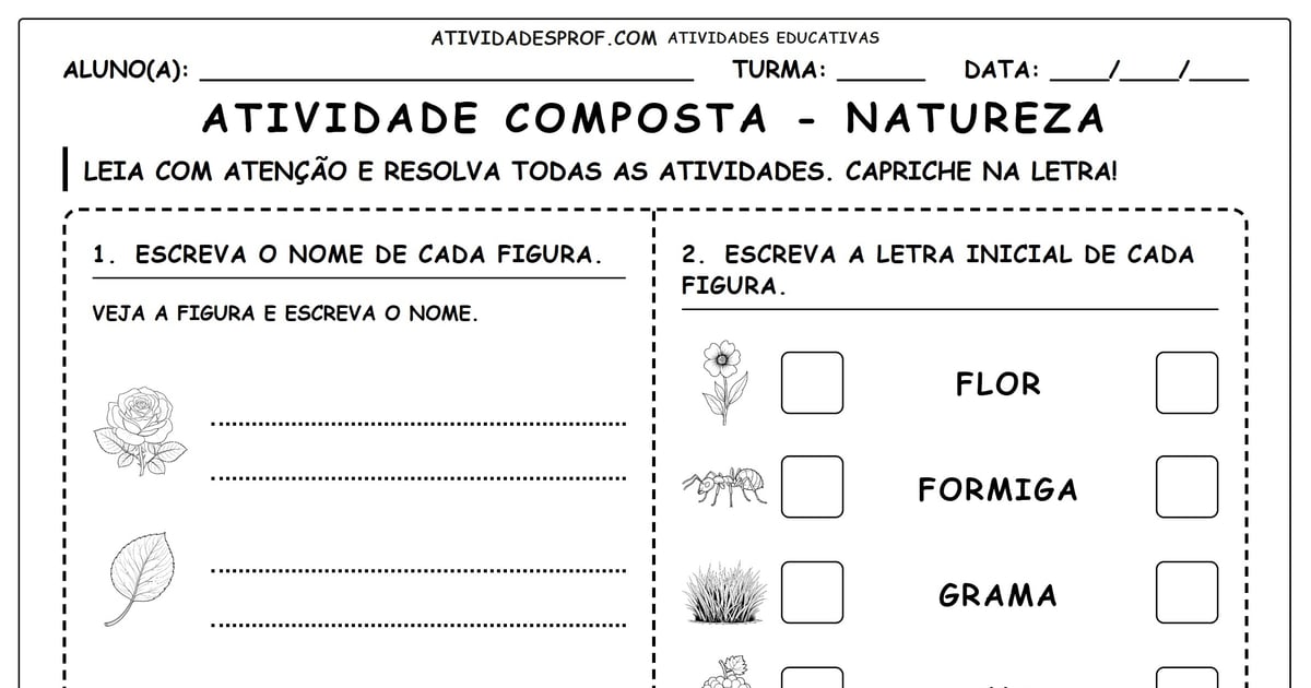 Atividade composta - natureza