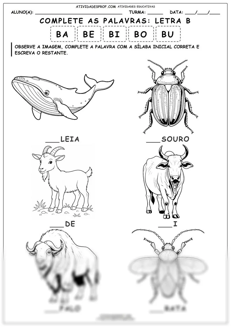 Complete as palavras: Letra B