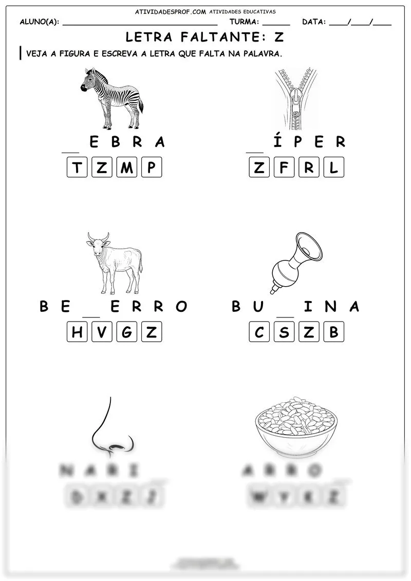 Letra faltante: Z