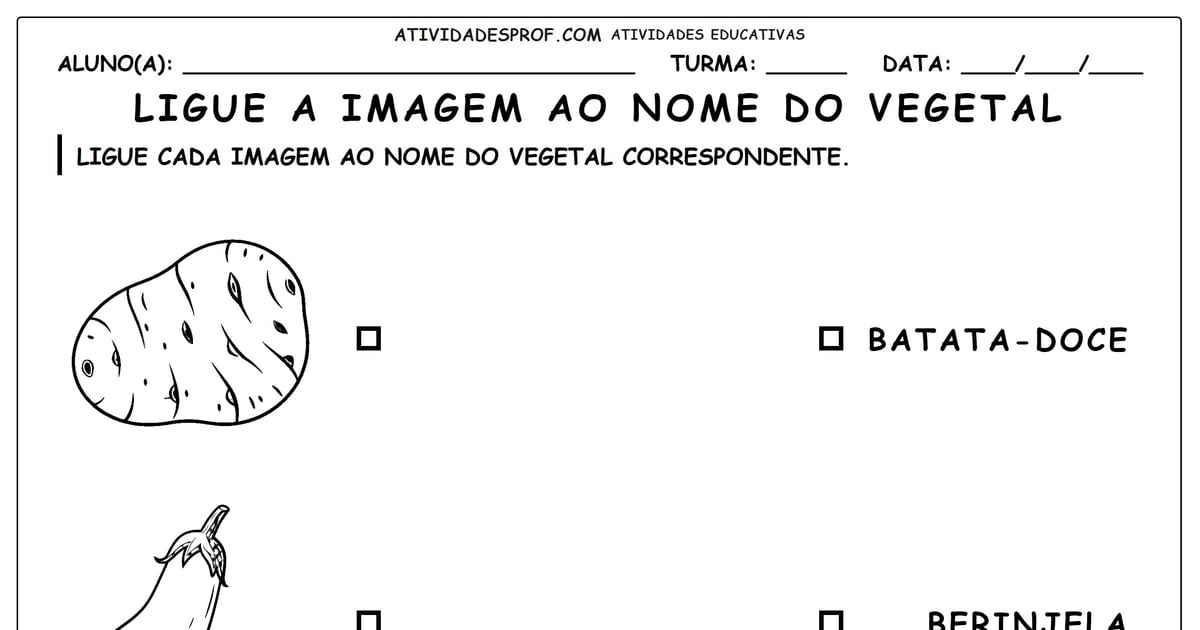 Ligue a imagem ao nome do vegetal