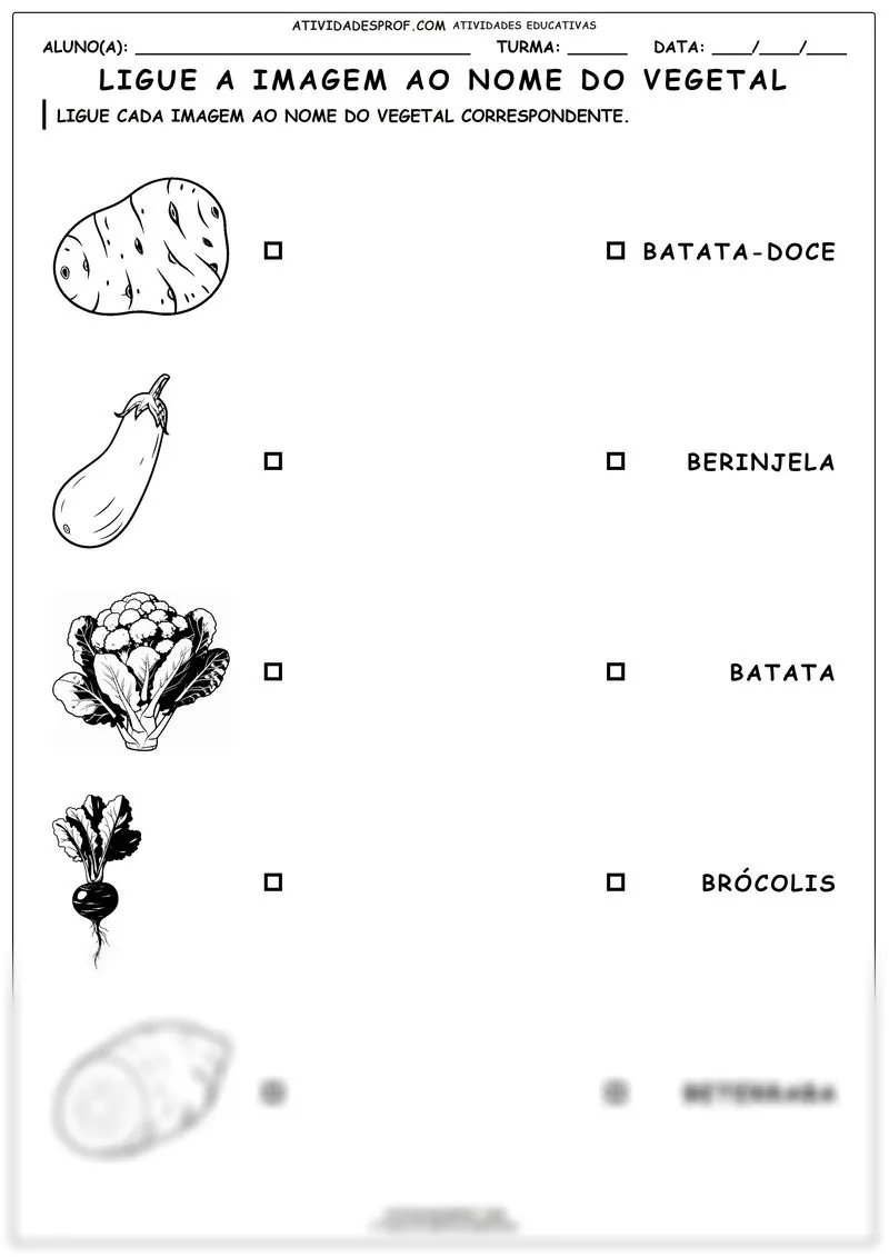 Ligue a imagem ao nome do vegetal