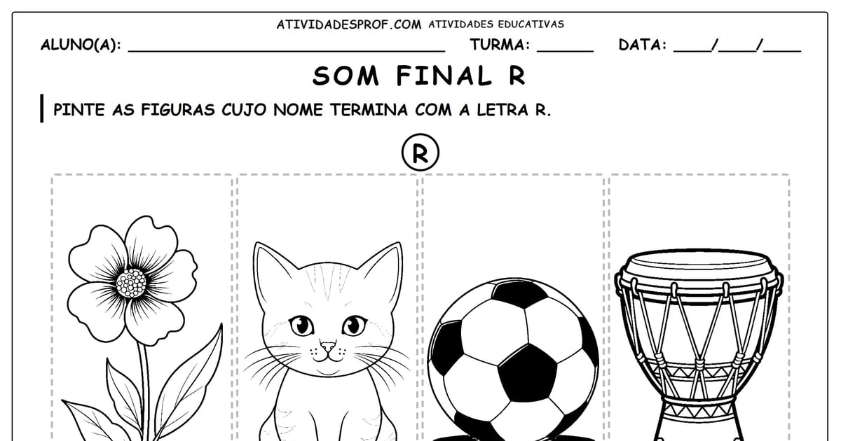 Som final R